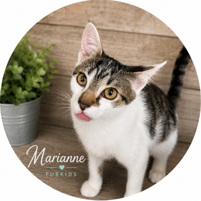 Marianne