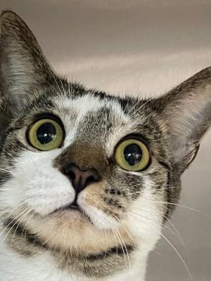 Lulu (FK: Dottie)