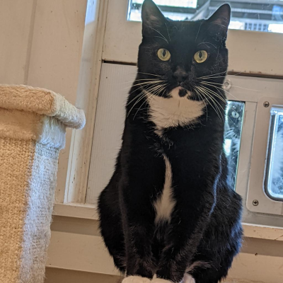 Darla