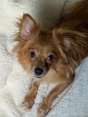 Layla 21372