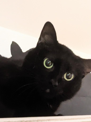 Lucie