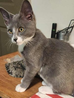 Smudge 2