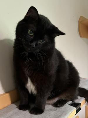 Lucie