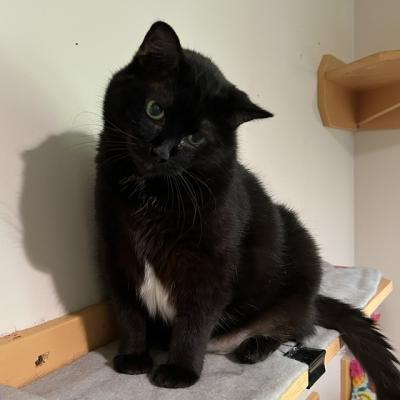 Lucie