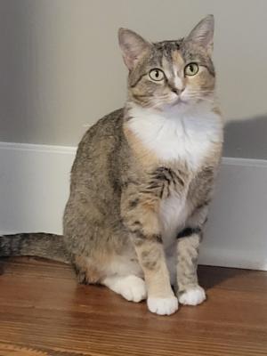 Miss Bonnie