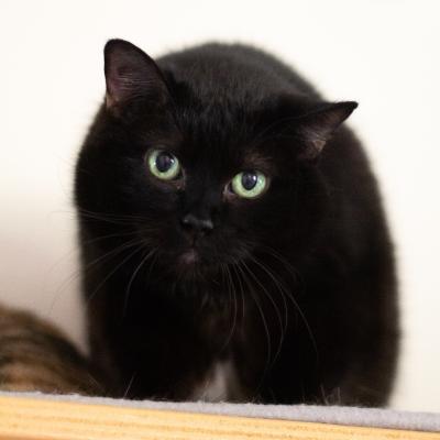 Lucie