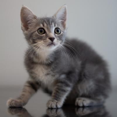 Mia 2