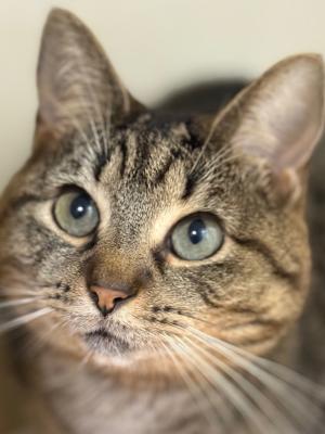 Ralphie