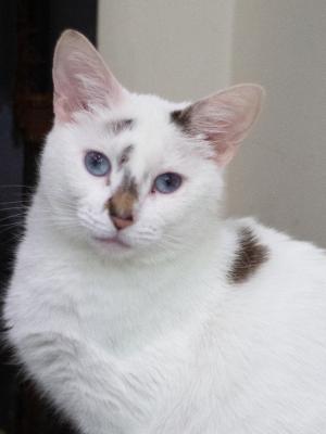 Rosie