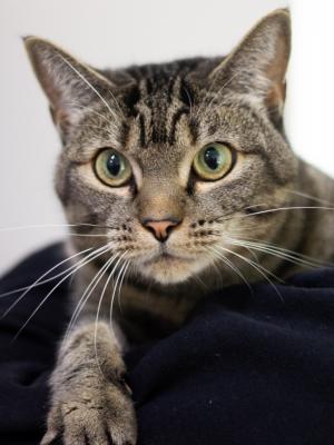 Marley (fka Felicia)