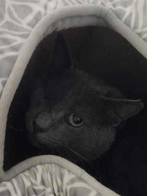 Sebastian