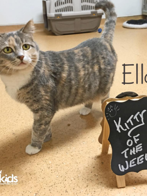 Ella