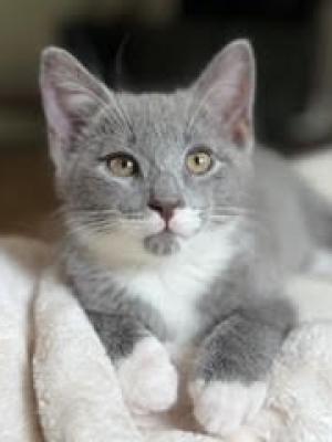Linus (aka Donny)