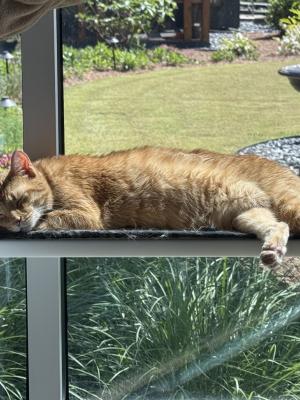Rusty