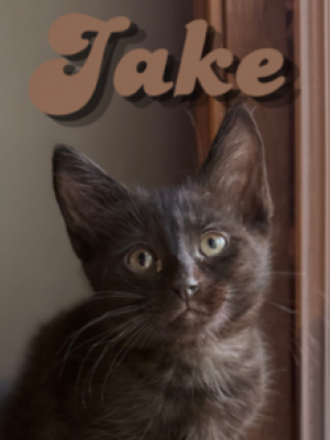 Jake