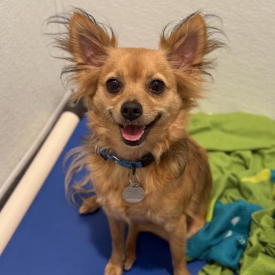 Little Baby 22908