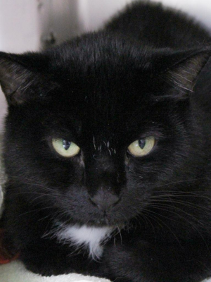 Jethro