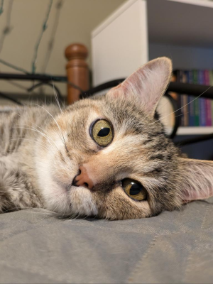 Chloe
