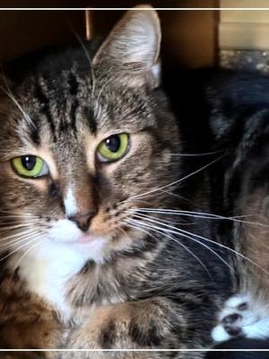 Momma Maisy (Momma May)