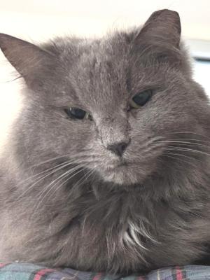 Bonnie