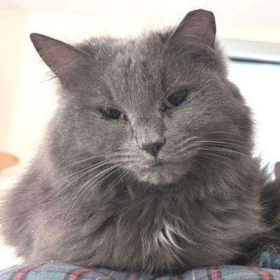 Bonnie