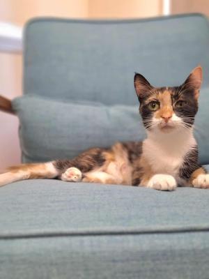 Lydia