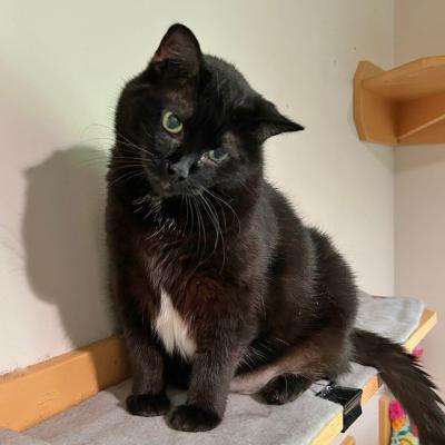 Lucie