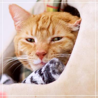 Lenny