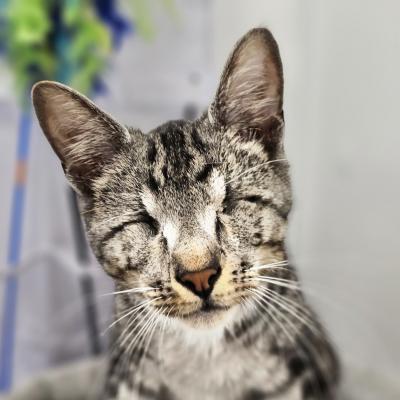 Keanu