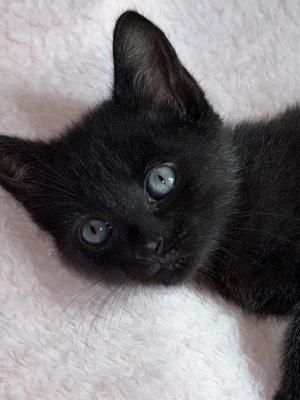 Salem
