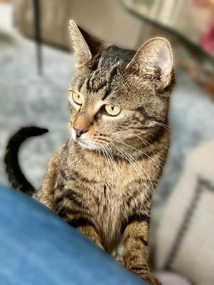 Suzie