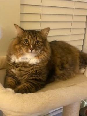 Greyson (fka Slider)