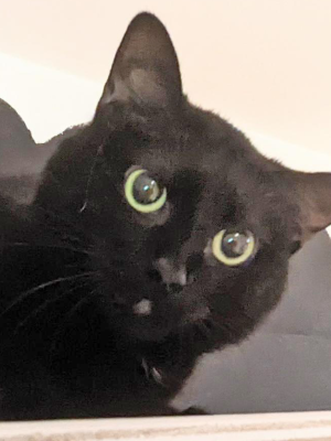 Lucie