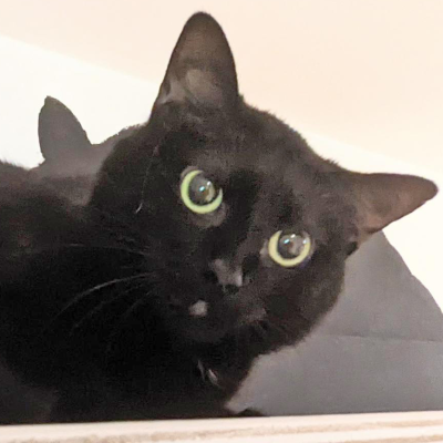 Lucie