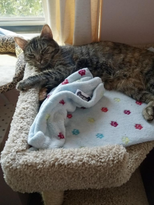 Luna