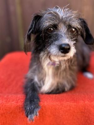 Eleanore Roosevelt 21814