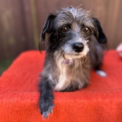 Eleanore Roosevelt 21814