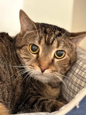 Heidi (fka 161927Hattie)