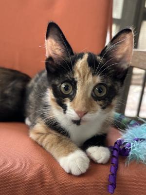 Winnie Sanderson